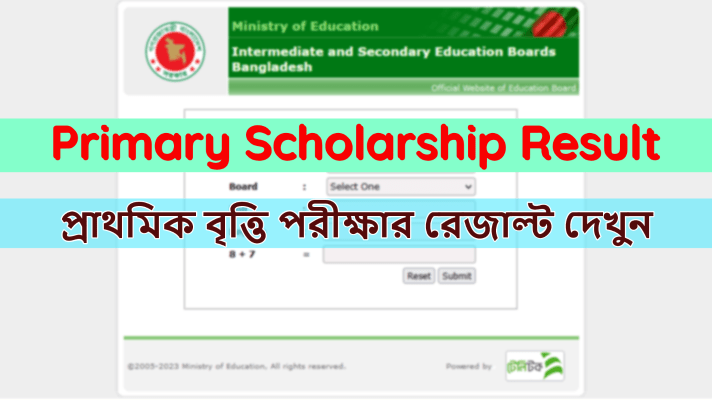 DPE Primary Scholarship Result 2023